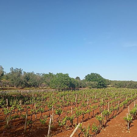 Masseria Le Betulle Сан Вито дей Нормани Екстериор снимка